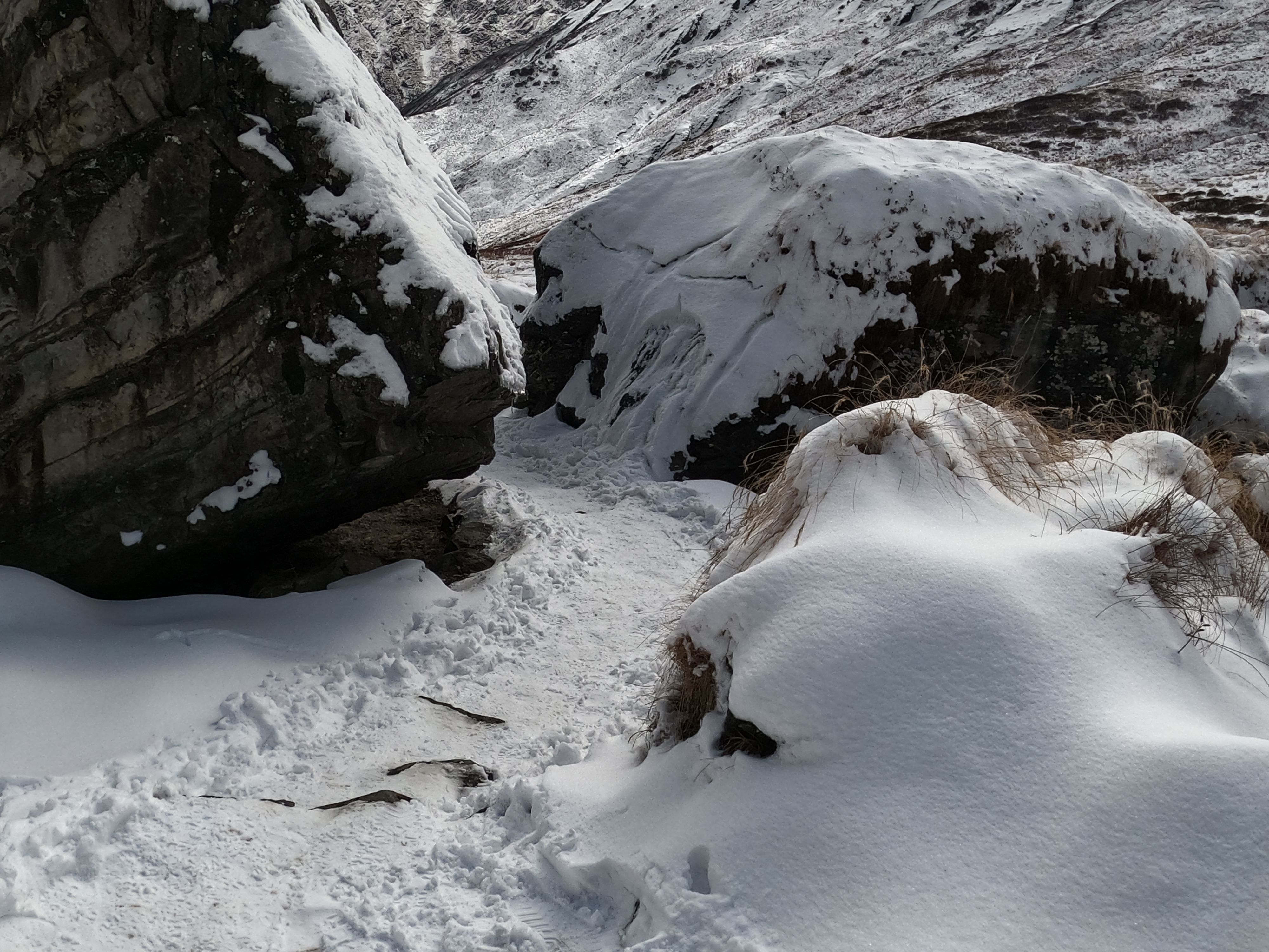 nepal avalanche
