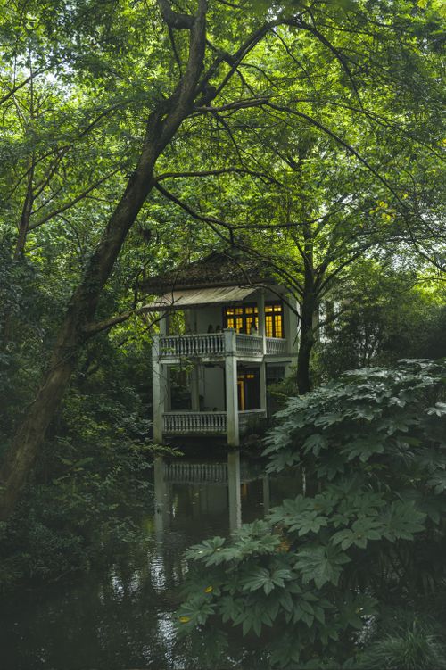 Free A serene house surrounded by dense green forest with a tranquil waterway. Stock Photo
