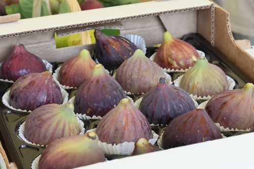 Free A close-up of fresh ripe figs in a cardboard box ready for sale at the market. Stock Photo