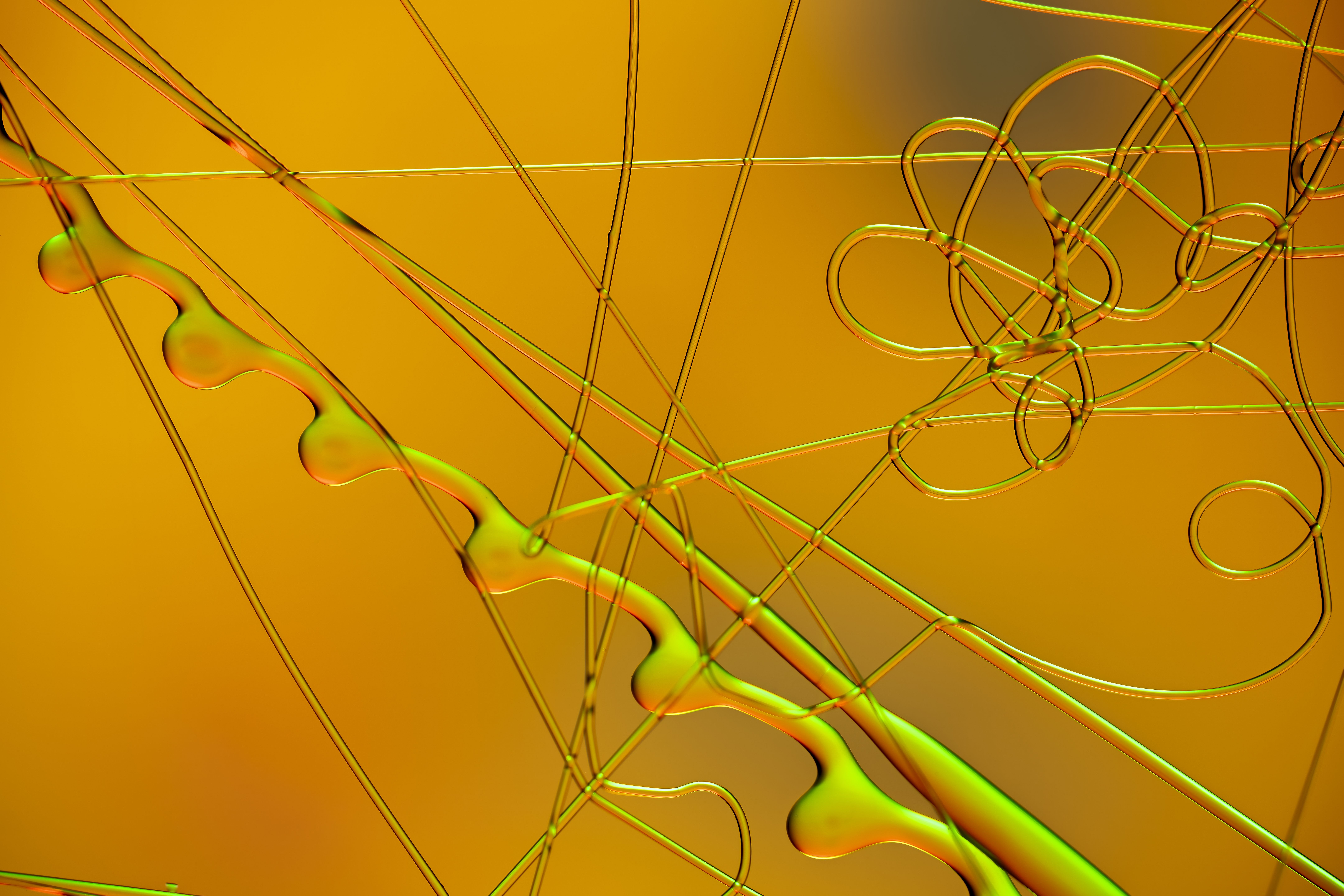 Vibrant abstract art with organic shapes and swirls in a colorful, textured design.
