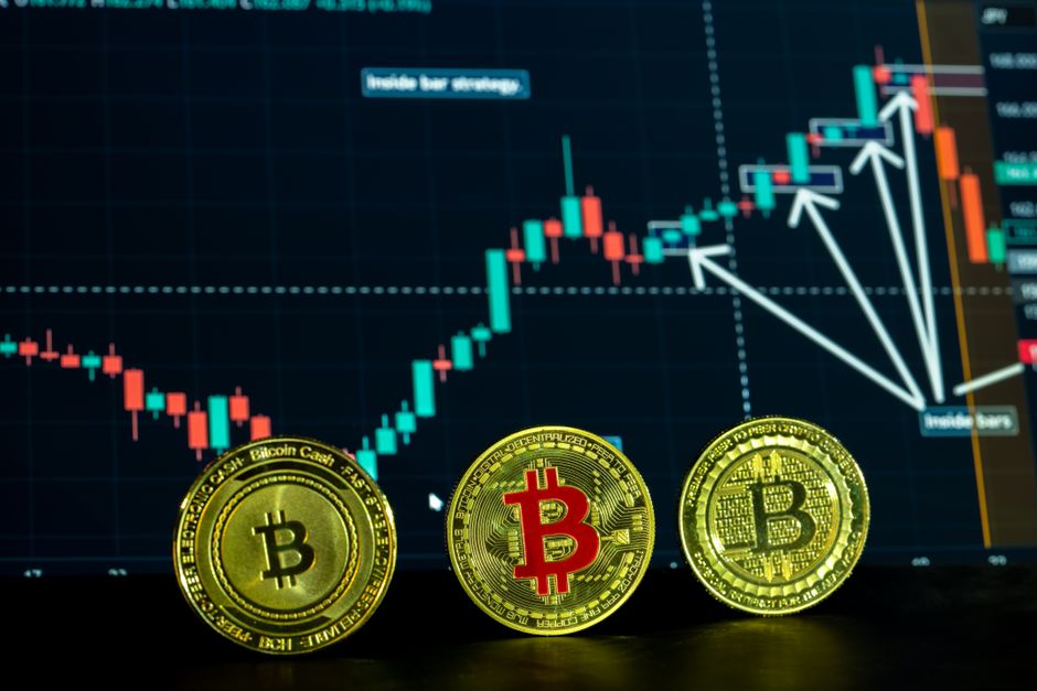Wall Street eases bitcoin whales' shift from self-custody: report