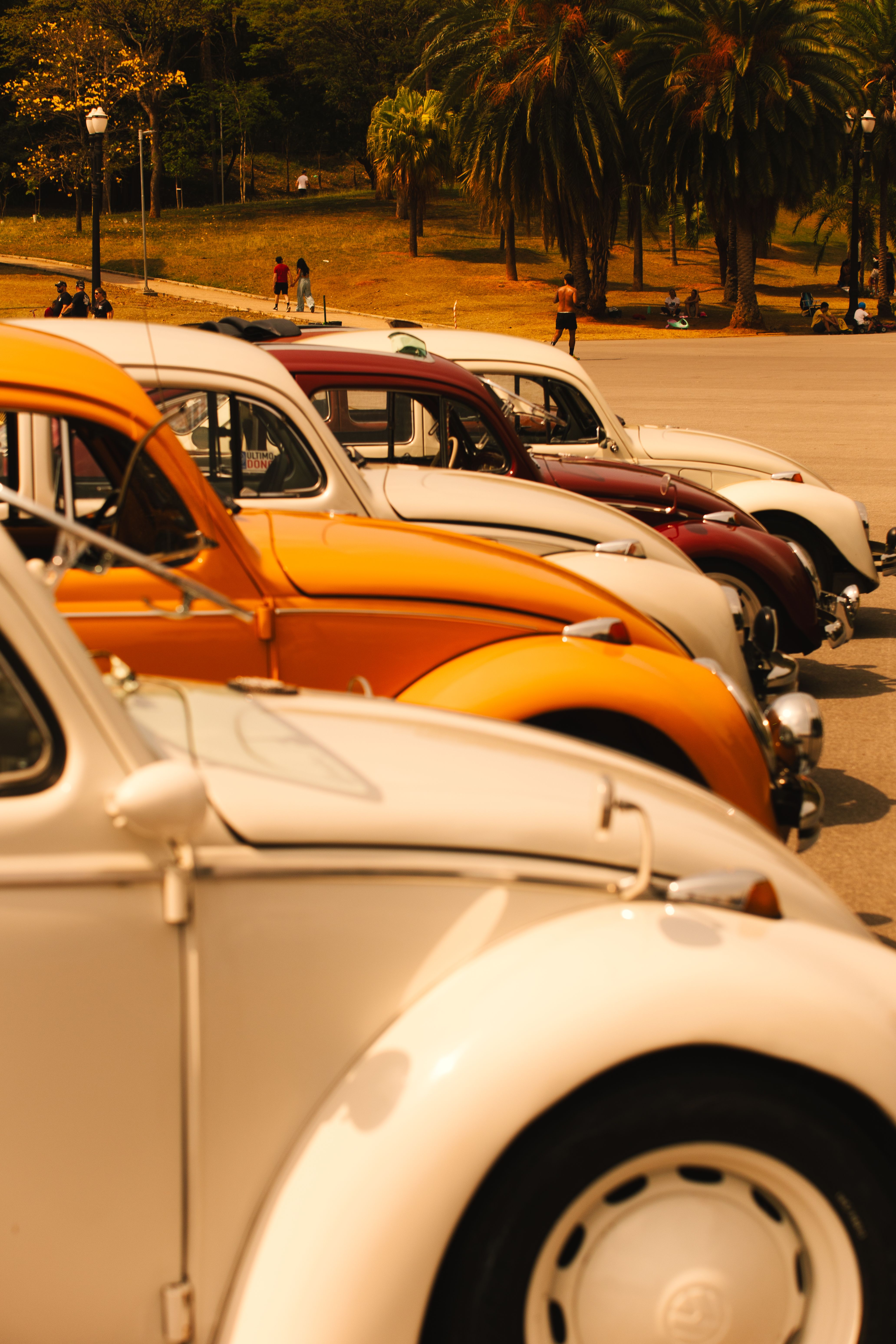 Fotomural Fotolia