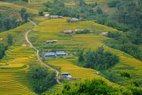 Free Picturesque view of terraced rice fields with lush greenery in a rural mountain area. Stock Photo
