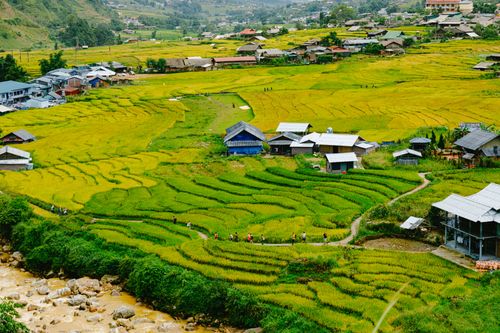 Free Aerial view of lush rice terraces and rural village surrounded by mountains in summer. Stock Photo