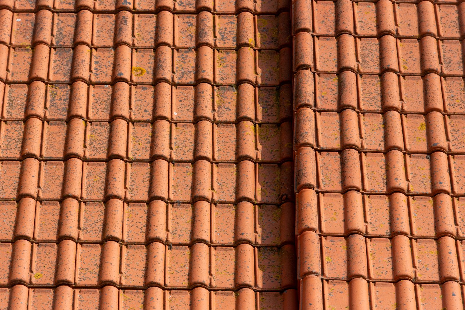 Close-up of coated clay roof tiles