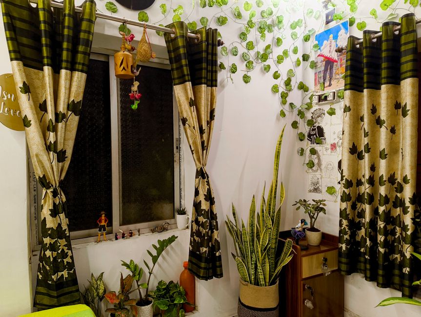 Bring in Plants for a Touch of Elegance in Low Budget Home Interior Design