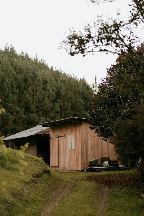 Free Scenic view of a rustic wooden cabin nestled in lush forest surroundings in spring. Stock Photo