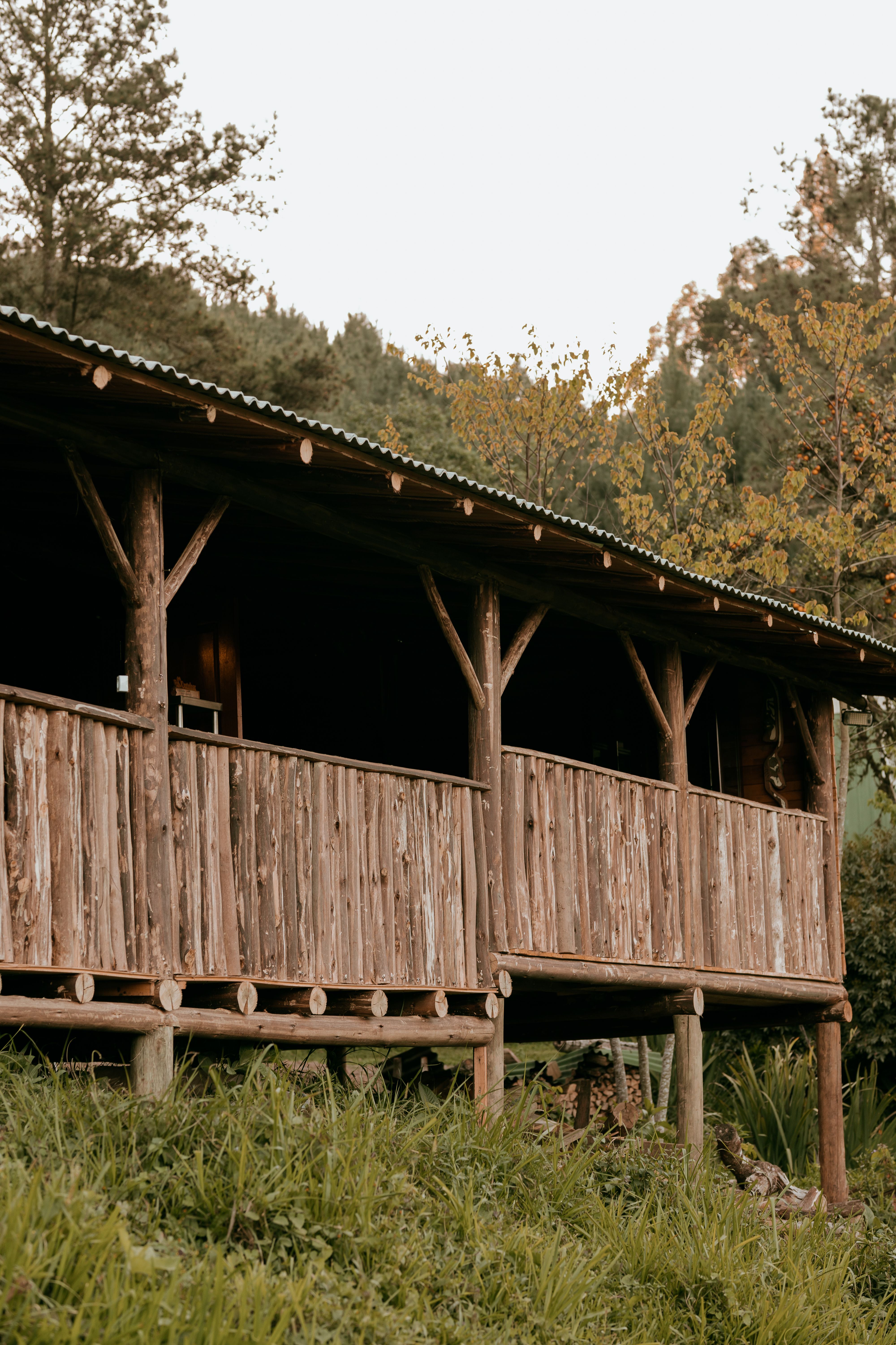Fotomural Una cabaña rústica de madera con porche en un entorno sereno y exuberante, ideal para retiros.