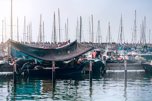 Foto stok gratis bahtera, laut