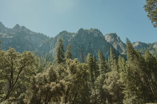 Free Breathtaking view of towering cliffs and lush pine forests in Yosemite National Park, California. Stock Photo