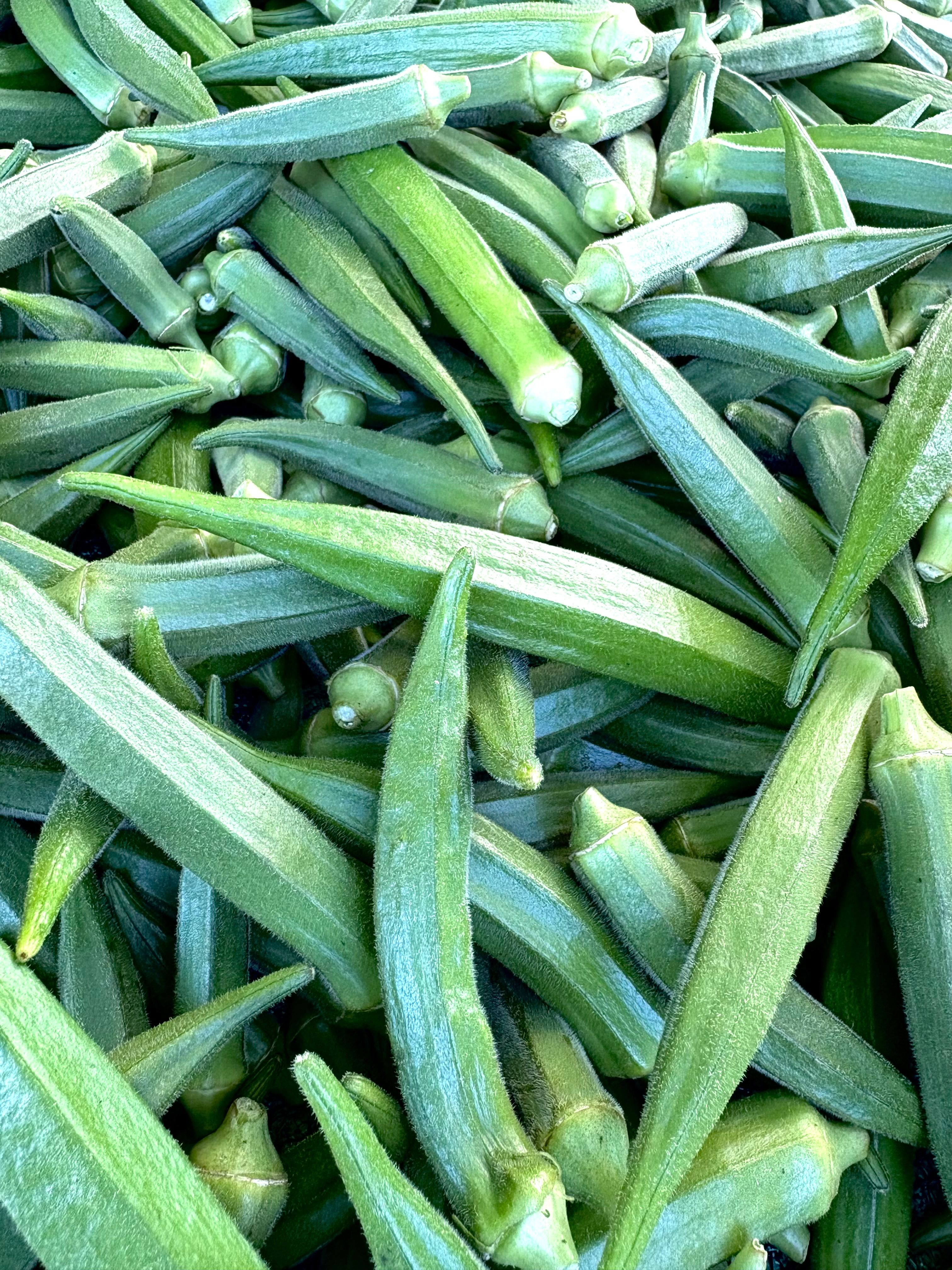 Okra (Lady Finger) Seeds