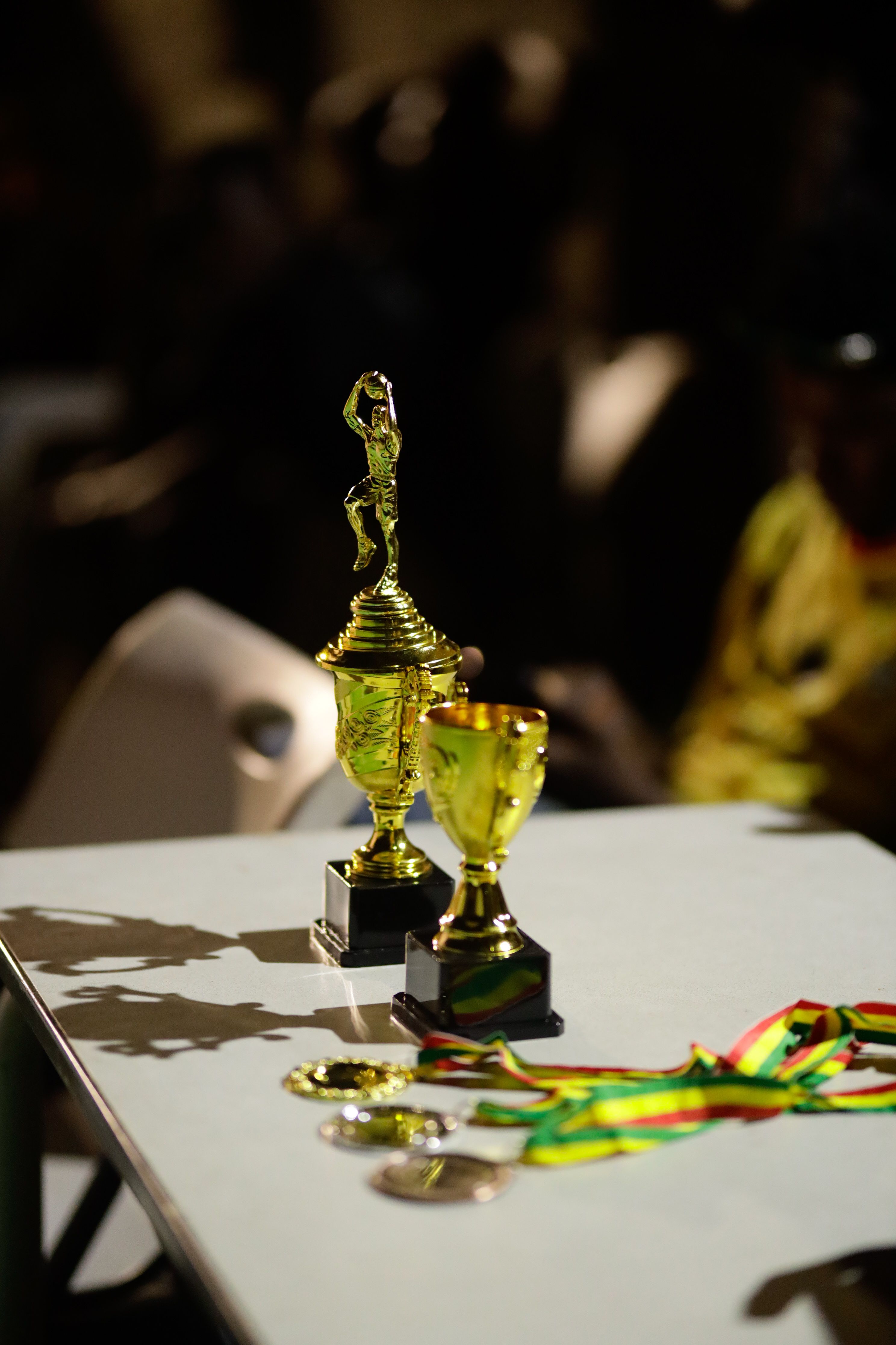 Gouden trofeeën en medailles op een tafel, als hoogtepunt van een prijsuitreiking.