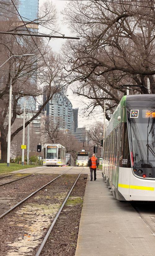 Free Melbourne tram scene with skyscrapers and tree-lined street. Urban transport captured on a cloudy day. Stock Photo