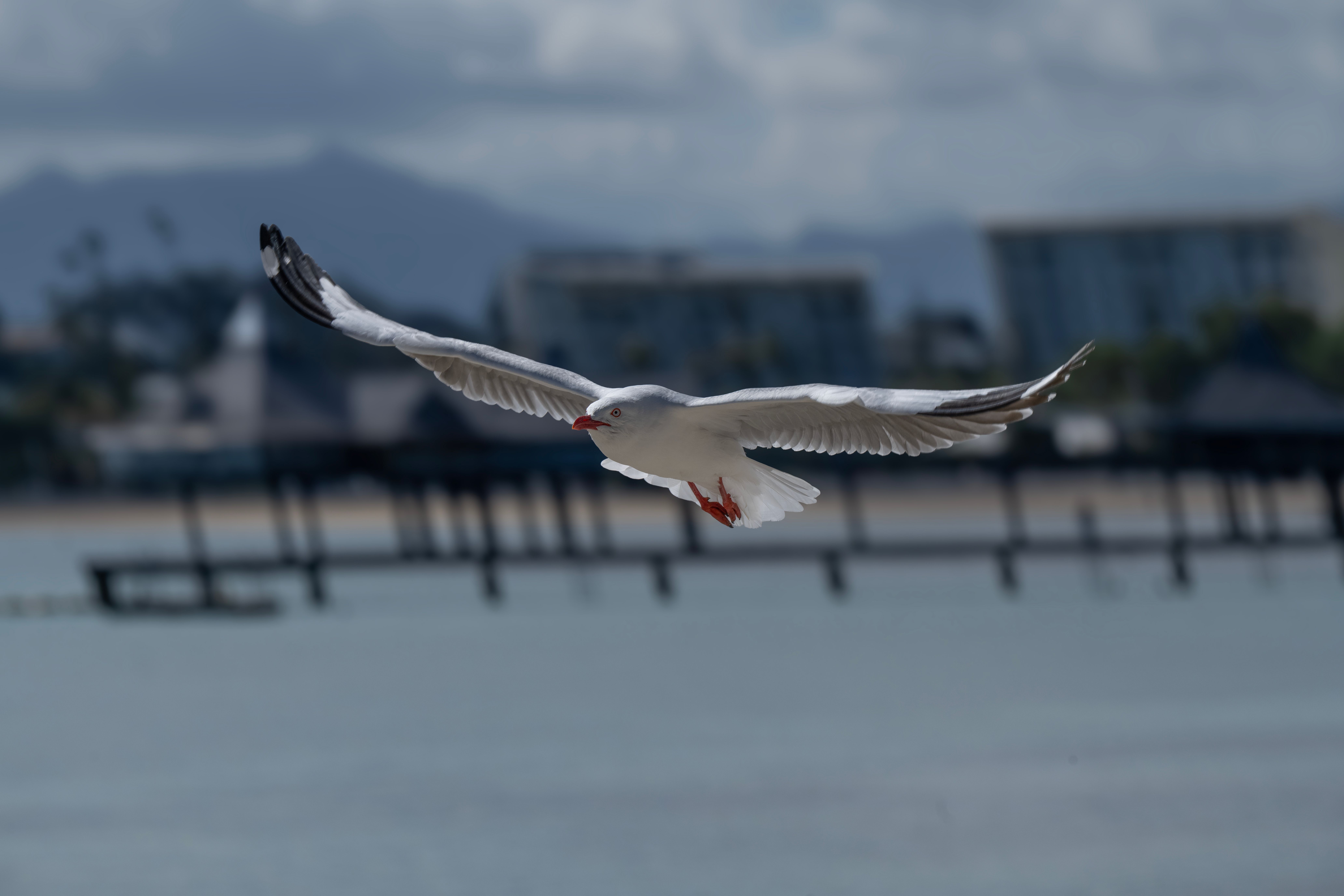 Cairns City