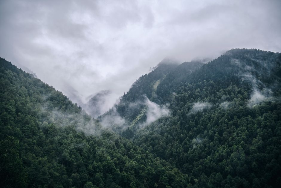 Serene vista of misty, forested mountains in Occitanie, France, showcasing natural beauty and tranquility.