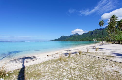 Free stock photo of blick auf den strand, französisch polynesien, insel Stock Photo
