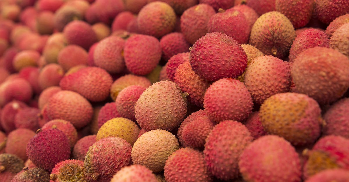 Red Round Fruit · Free Stock Photo