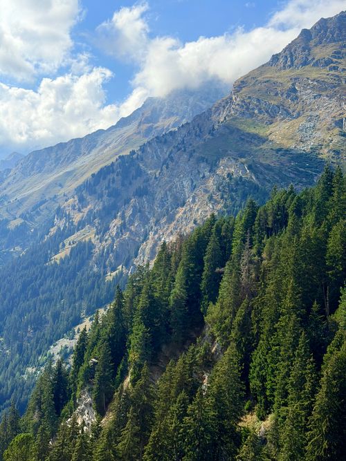 Free Majestic alpine landscape with lush forest and towering peaks in Graubünden, Switzerland. Stock Photo