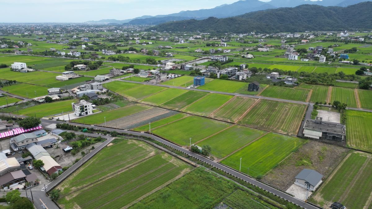 緑の水田が広がる田園地帯の空撮（イメージ）