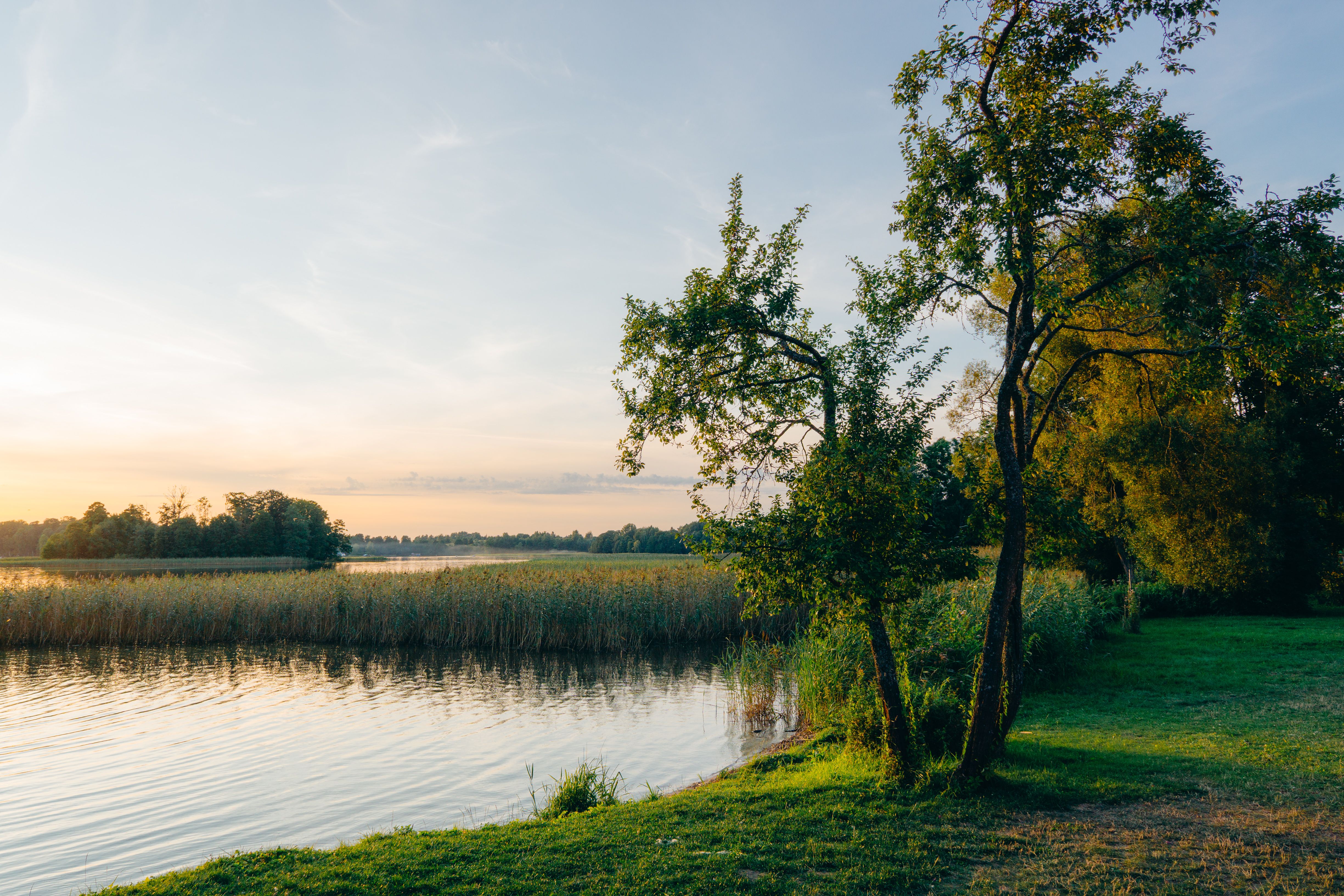 Müritz Seenlandschaft
