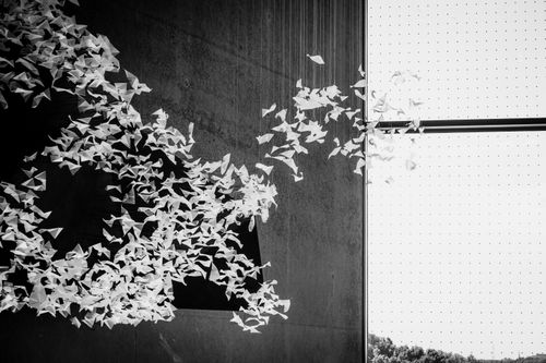 Free Black and white abstract display of paper birds in flight against a modern architecture background. Stock Photo