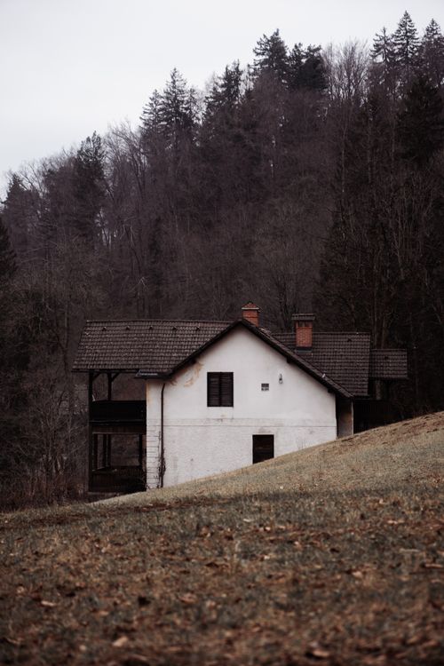 Free A solitary rustic house stands amidst a dense forest, capturing nature's tranquil beauty in Brugge, Belgium. Stock Photo