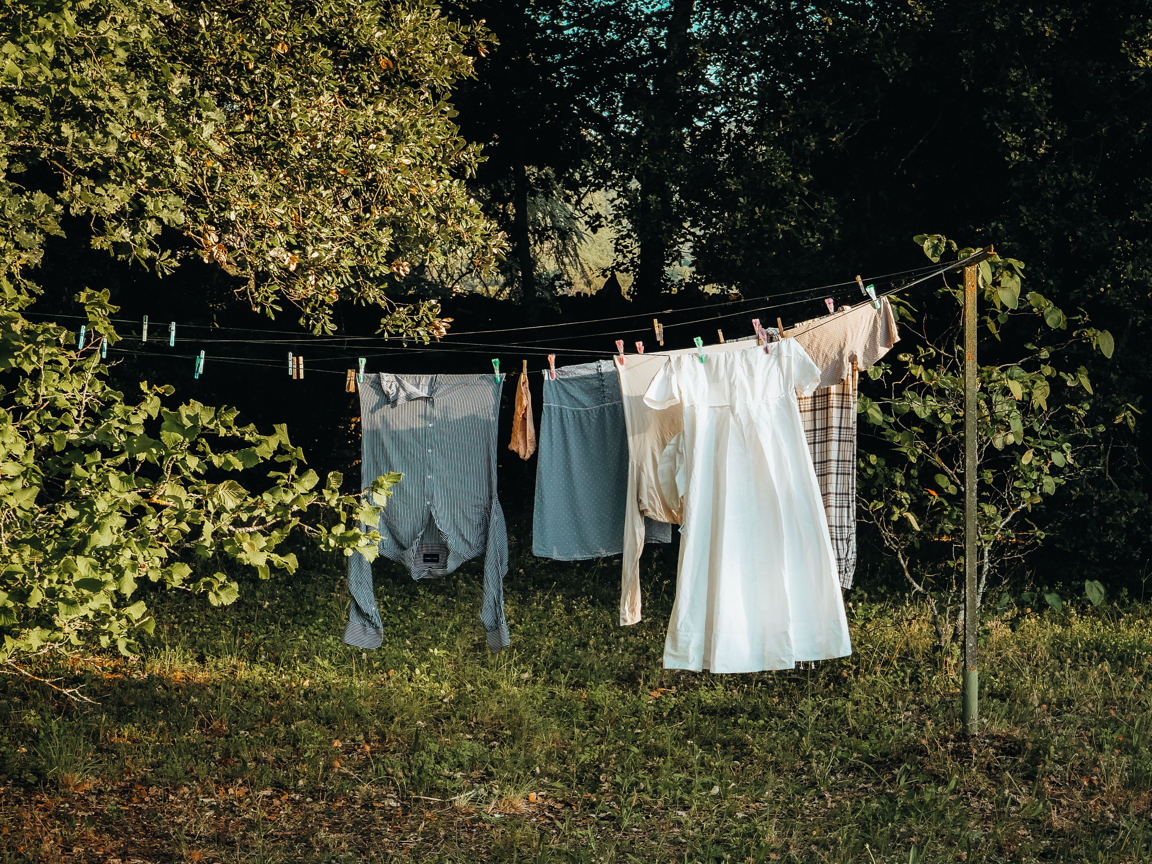 Clothes hanging on a line amidst nature in Provence-Alpes-Côte d'Azur, France.