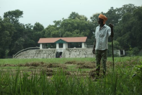 Free A South Asian farmer stands in a verdant field with a building backdrop in Raipur, India. Stock Photo