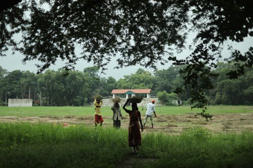 Free Farmers in Raipur, India, labor in a lush green field under tree shade. Stock Photo