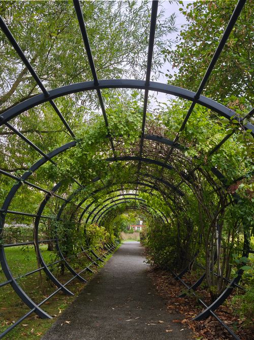 Free A serene pathway under a lush green arch of foliage in a summer park setting. Stock Photo