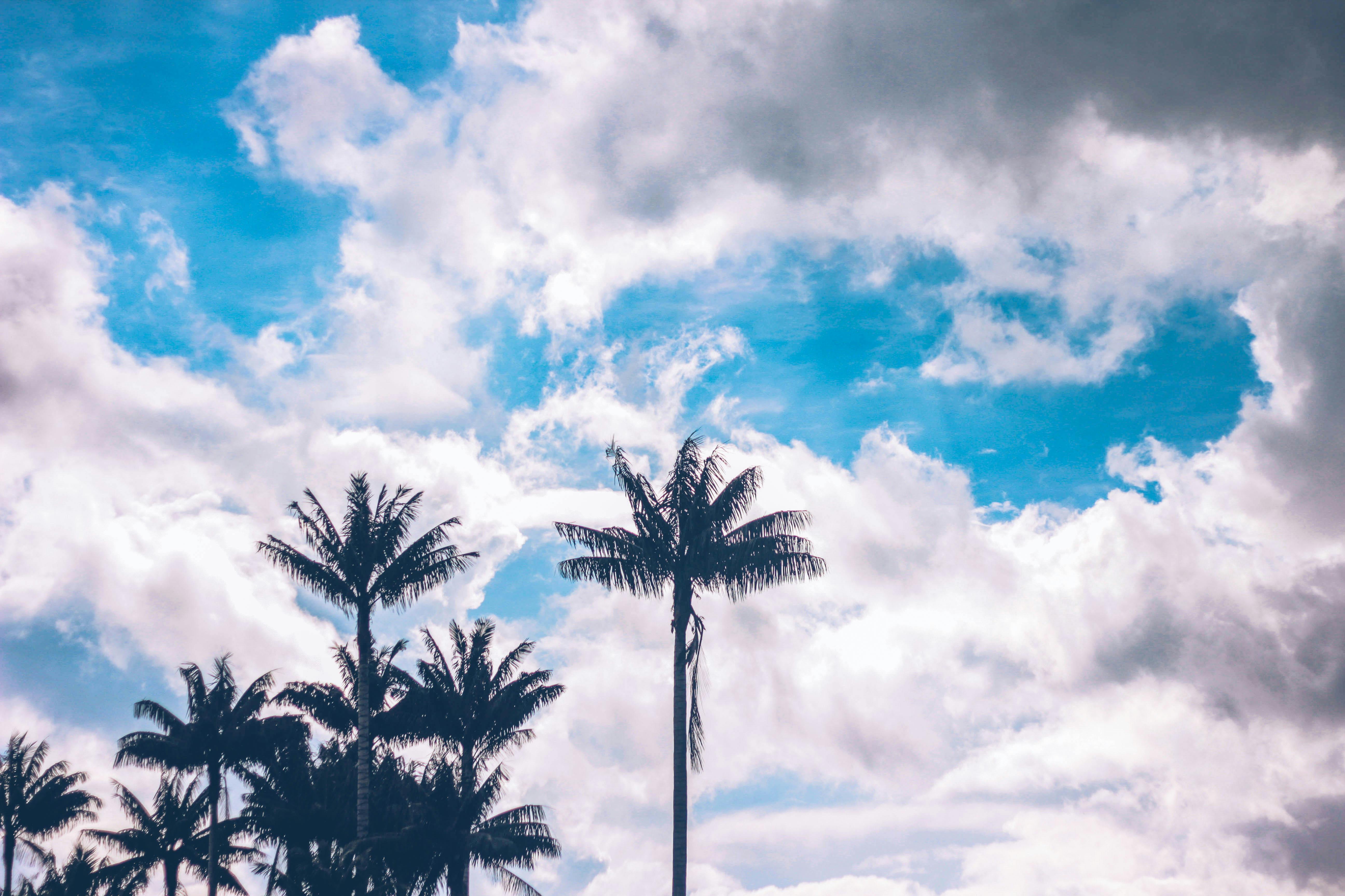Free stock photo of background, beach, beachlife