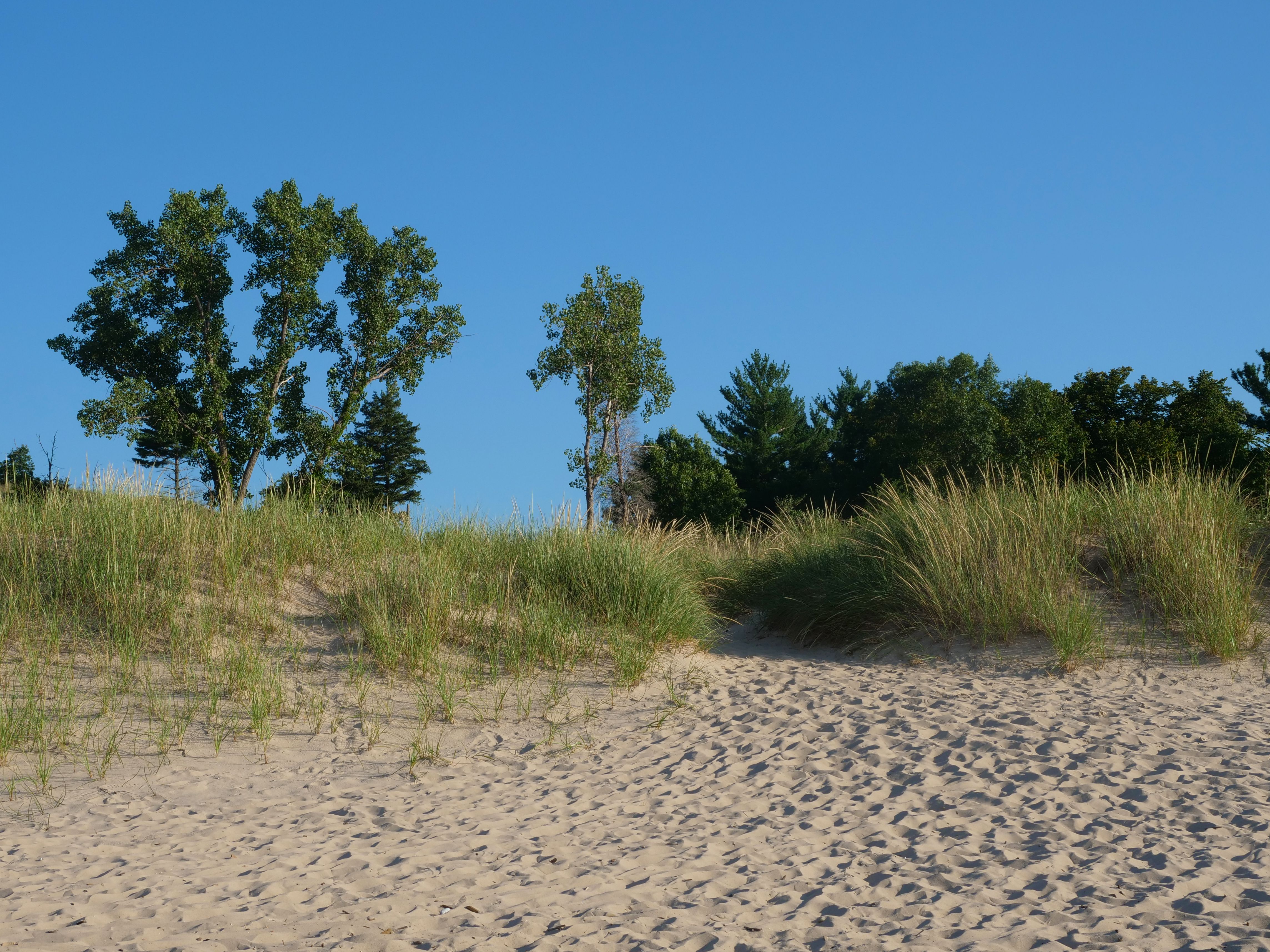 Parco nazionale delle dune dell'Indiana, Stati Uniti d'America