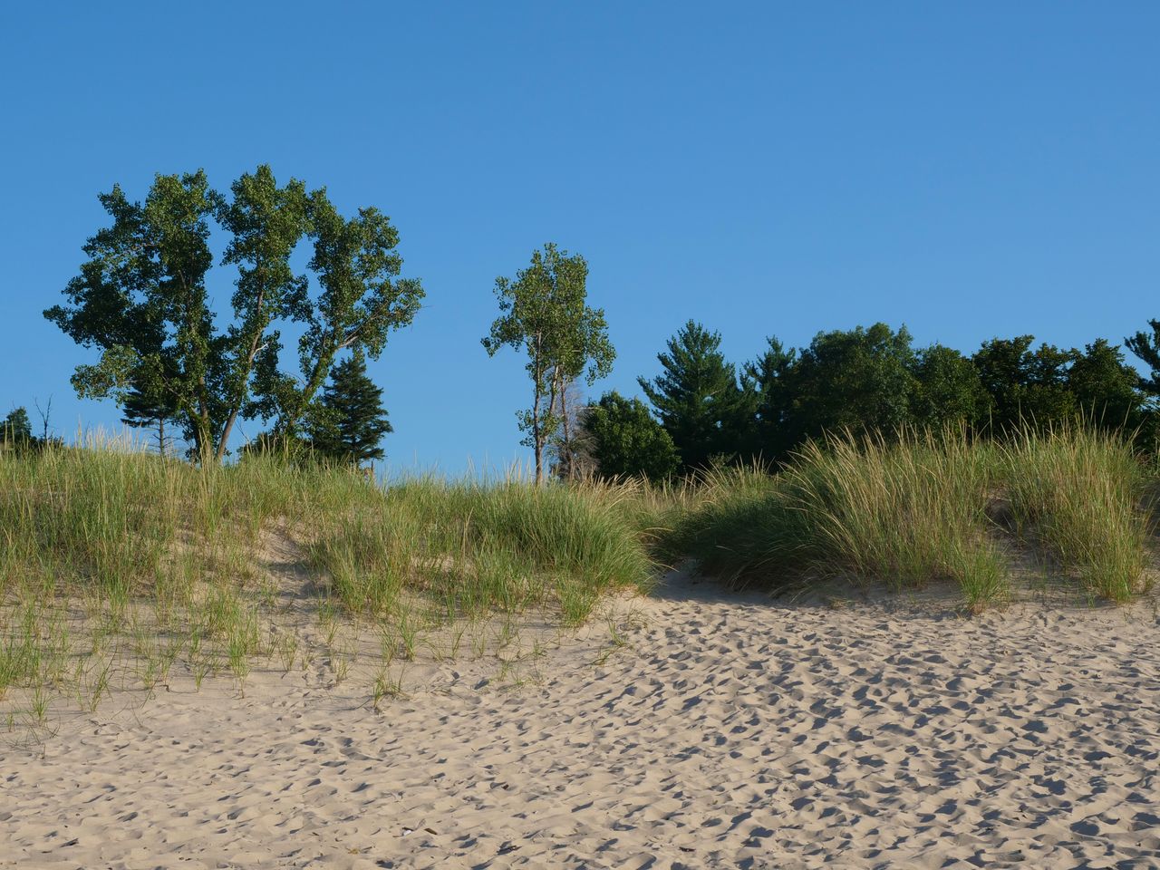 Parco nazionale delle dune dell'Indiana, Stati Uniti d'America