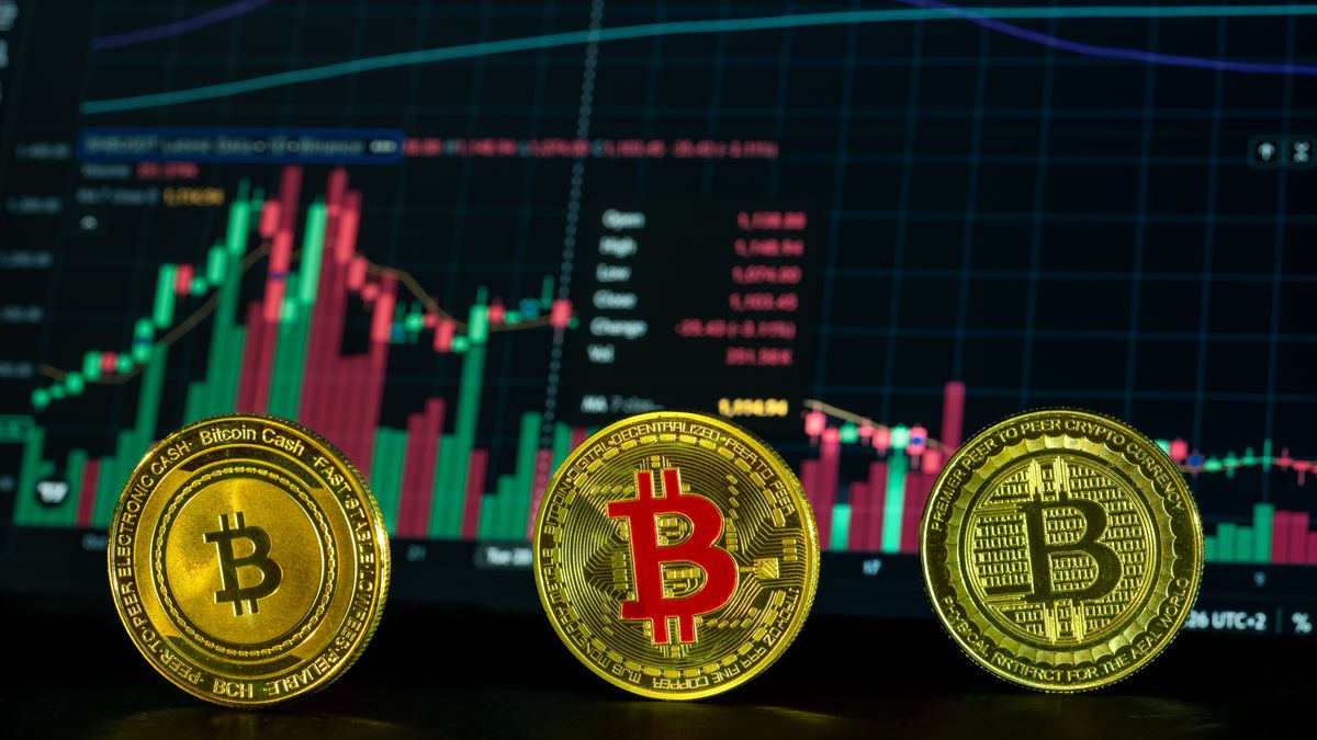 Cryptomonnaies et diversité des actifs numériques