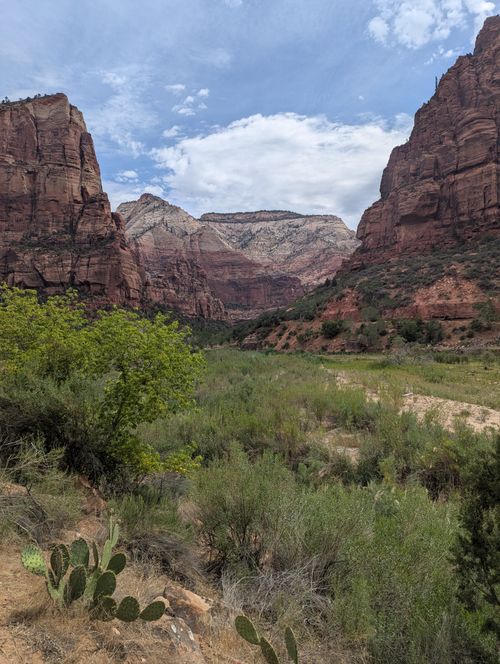 Free Stunning landscape of Zion National Park showcasing red rock canyons and lush vegetation under a blue sky. Stock Photo
