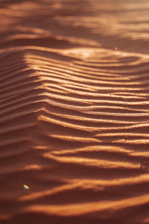 Free Rippling sand dunes in Arizona capture the warm glow of a desert sunset, highlighting natural textures. Stock Photo