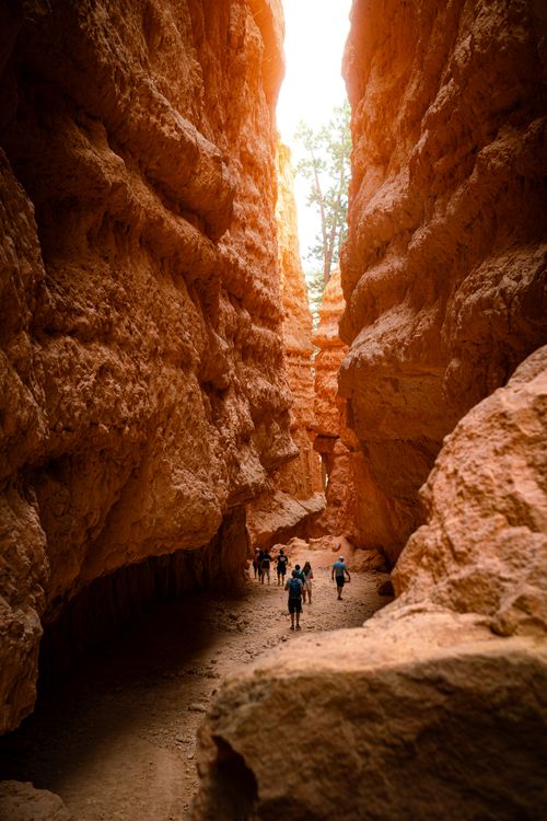 Free Explore the stunning red rock formations of Bryce Canyon with hikers on a scenic trail. Stock Photo