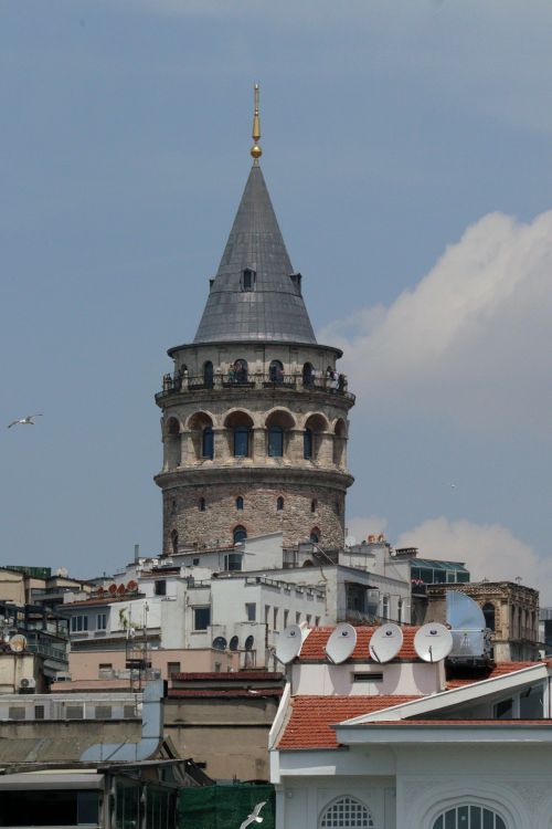 Free Scenic view of the historic Galata Tower in Istanbul with flying seagulls and clear blue sky. Stock Photo