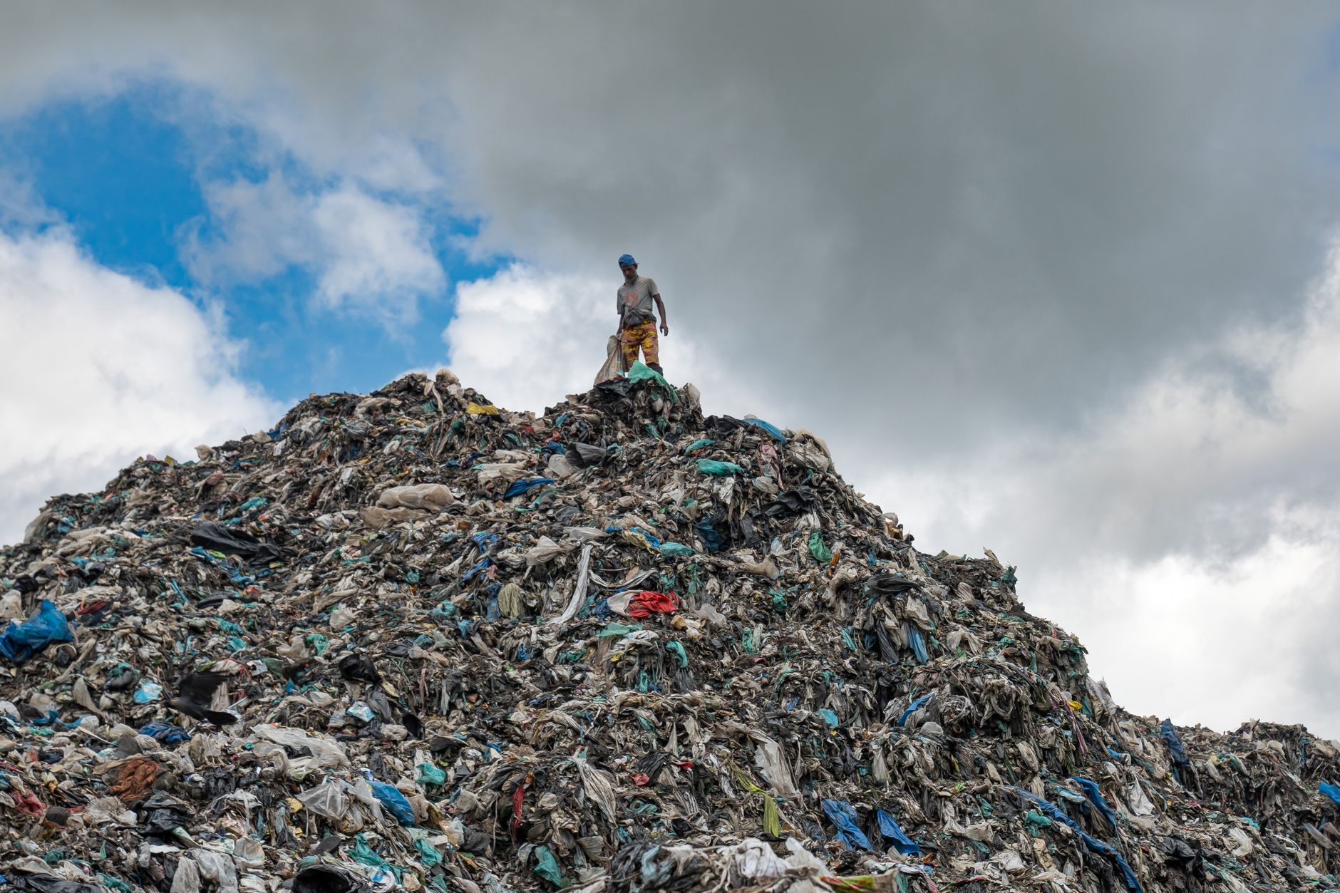 Directorul OMS avertizează asupra crizei globale de sănătate cauzate de încălzirea climatică și creșterea numărului de decese din cauza caniculei