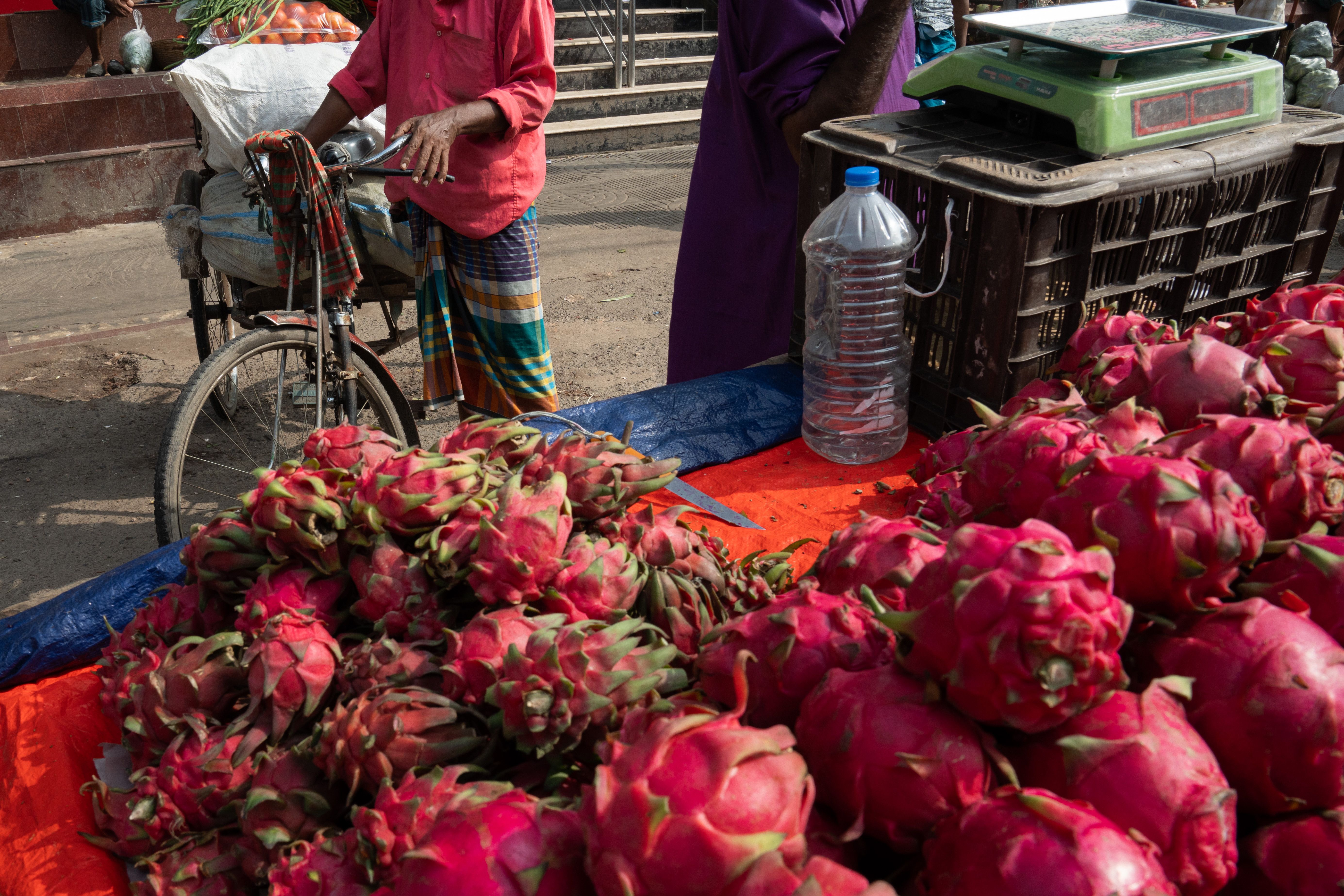 Dragon Fruit