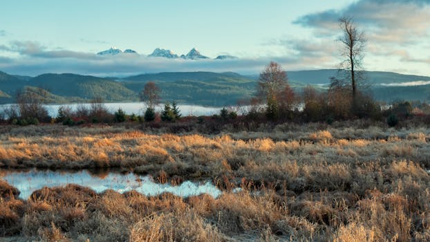 加拿大皮特梅多斯的阳光明媚的草原和山脉，展现了大自然的美丽