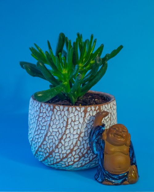 Free stock photo of art, blue, buddah Stock Photo