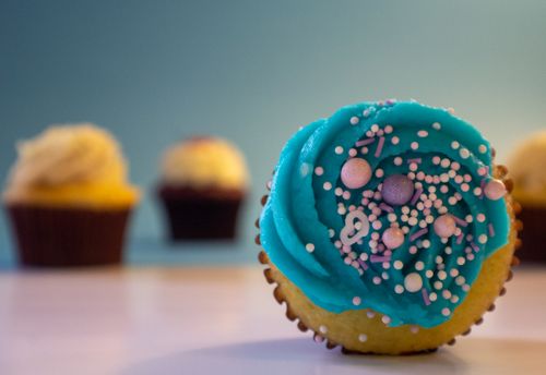Free stock photo of blue cupcake, candy, cupcake Stock Photo