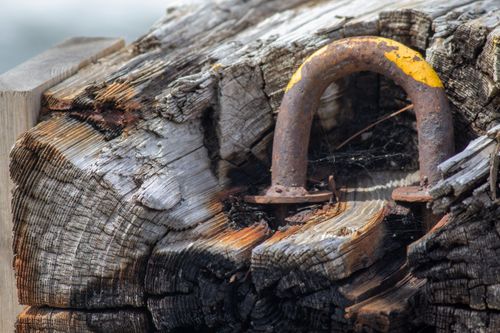 Free stock photo of history, nature, old Stock Photo