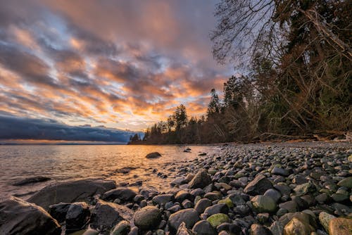 Rocky Shore 