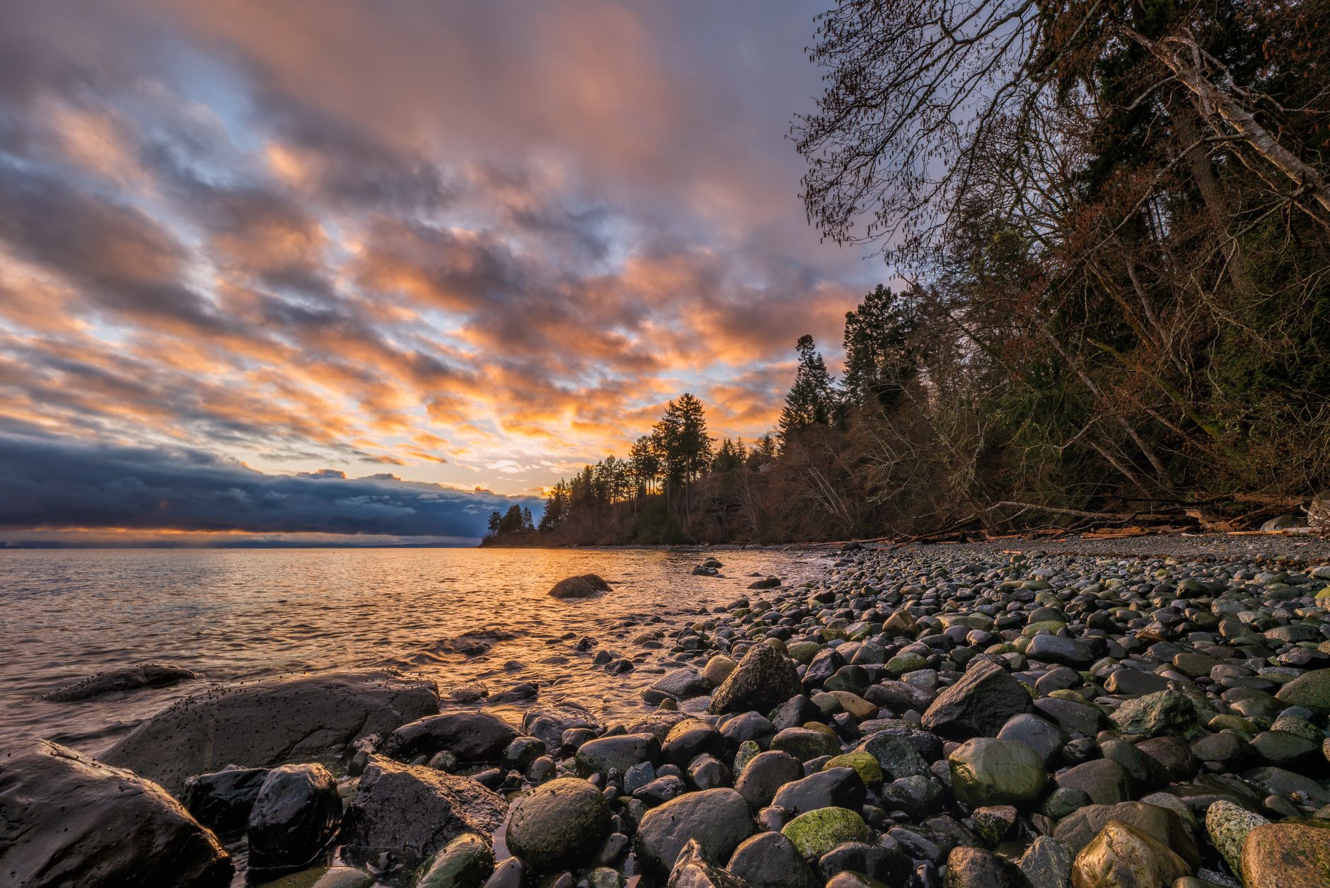 Peaceful shoreline of Courtenay, BC with a stunning sunset and rocky beach.