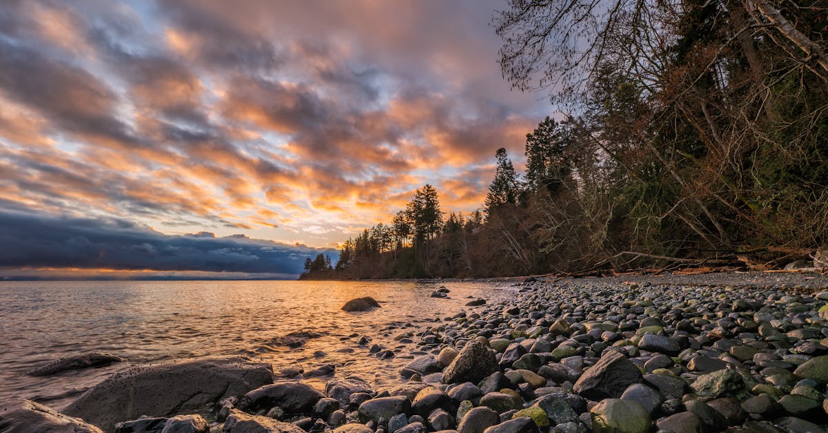 How much does a yard of gravel cost Canada