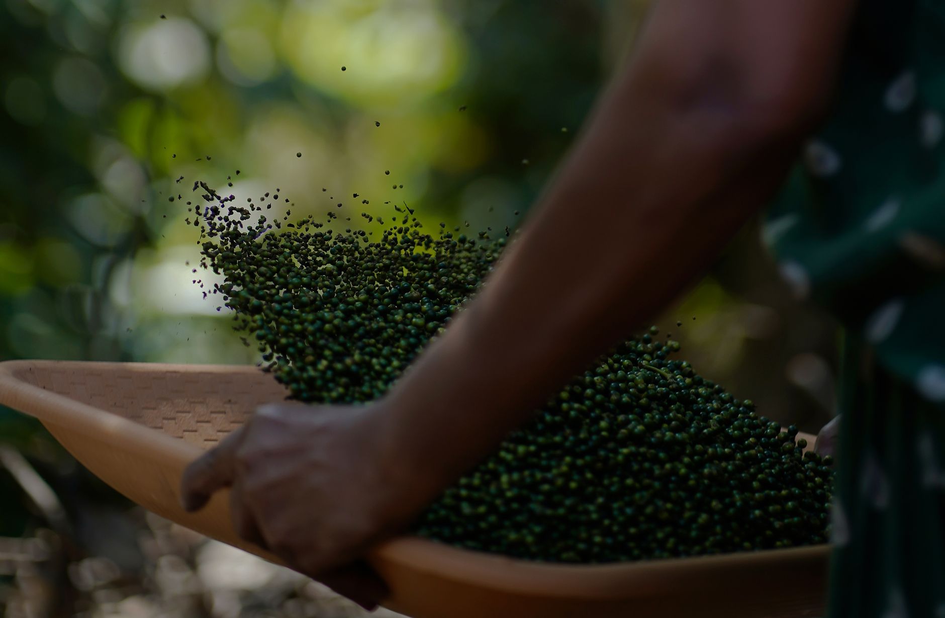 A spice plantation tour