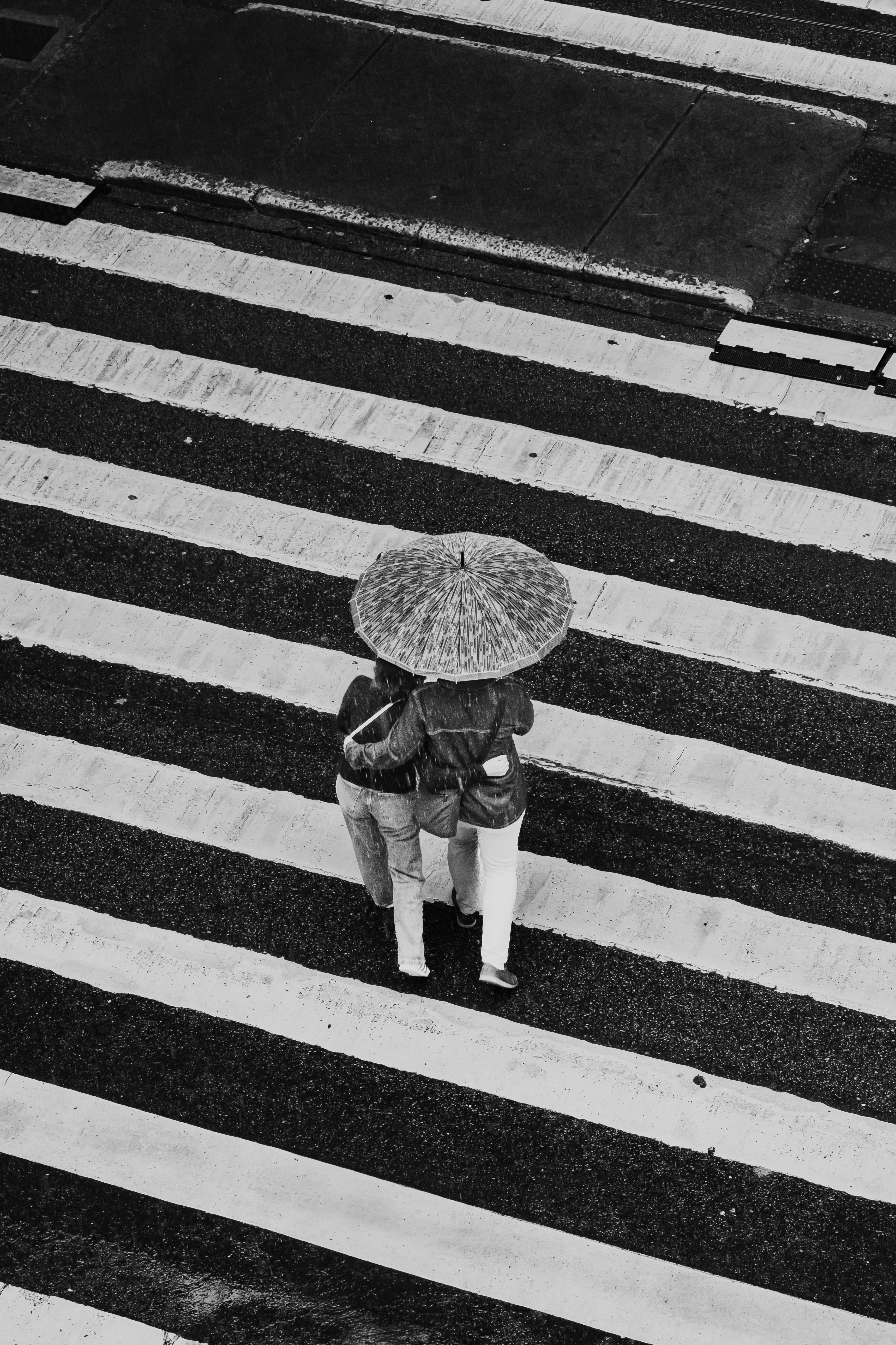 Black and white photo of a couple with an umbrella on a zebra crossing.