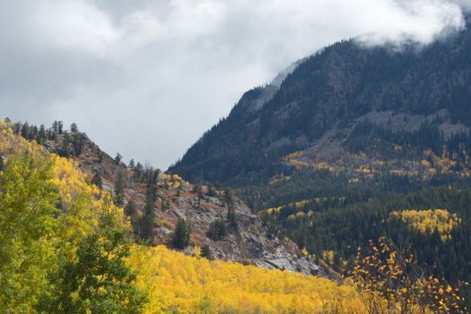 Beautiful autumn scenery in Aspen, Colorado, showcasing vibrant fall foliage covering the mountainous terrain.
